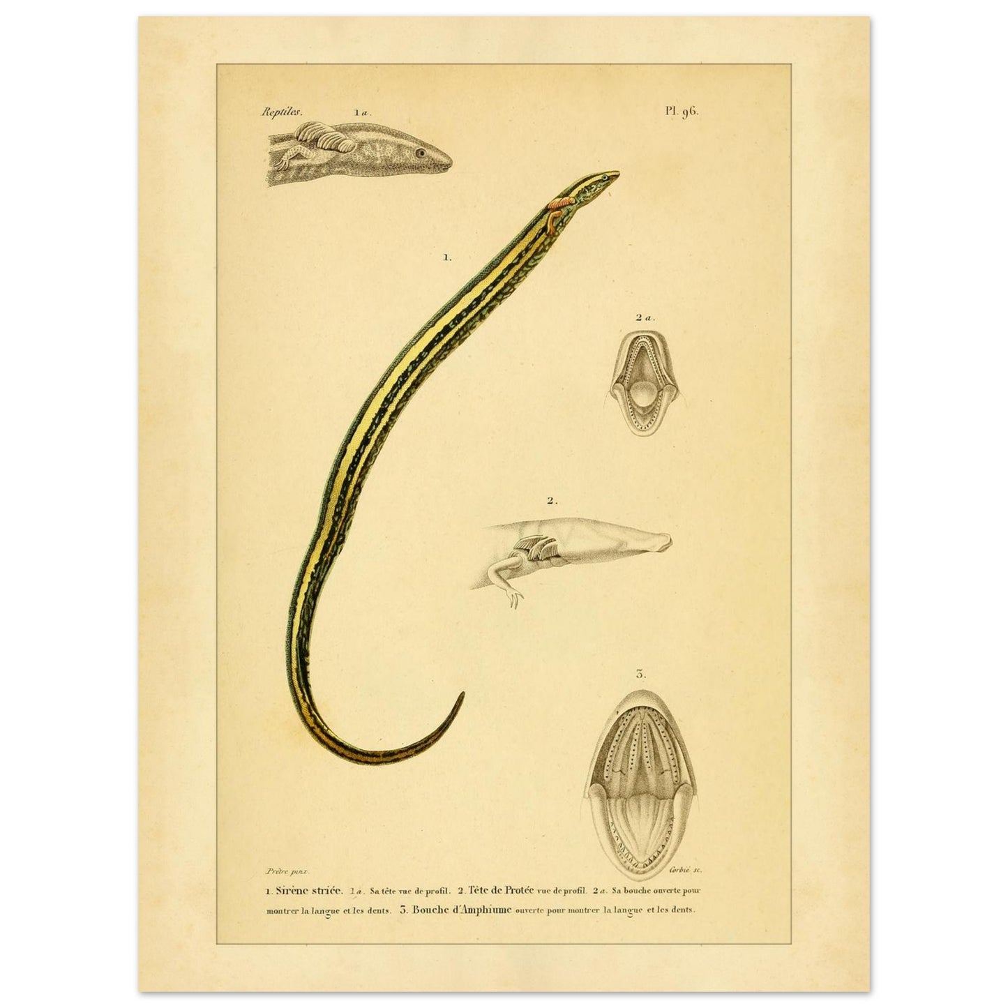 8a7c74ef-464f-4805-9bf5-a8a73bf8c73e