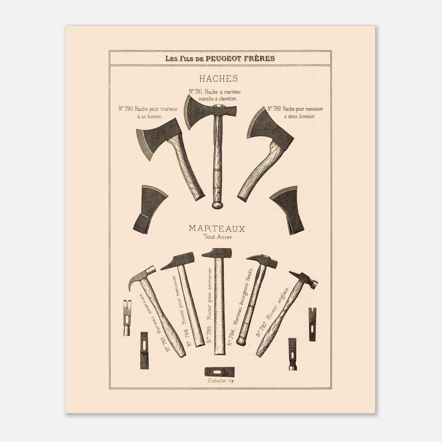 8c969c43-813d-4b5f-b4ca-23477556f3d6