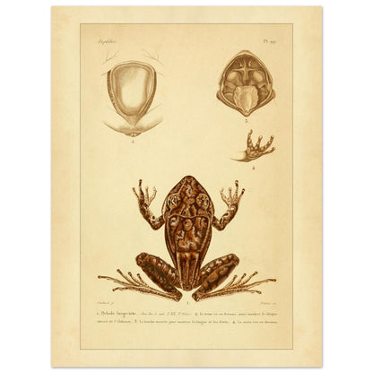 8cbe34d0-7b3b-4324-b8fc-214a2ccd84ee