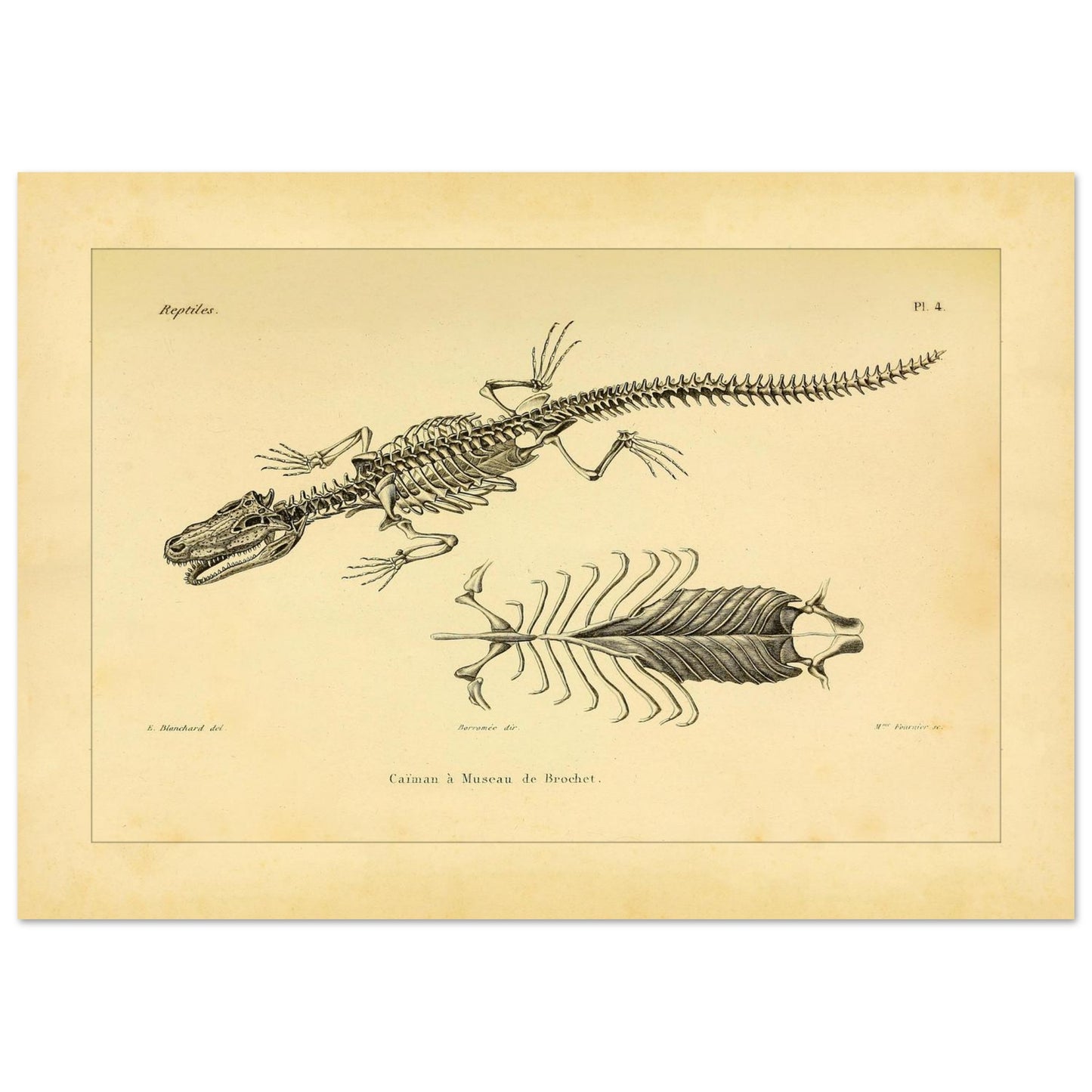 8cfbbd95-1afa-4573-8feb-97197af2fbbb