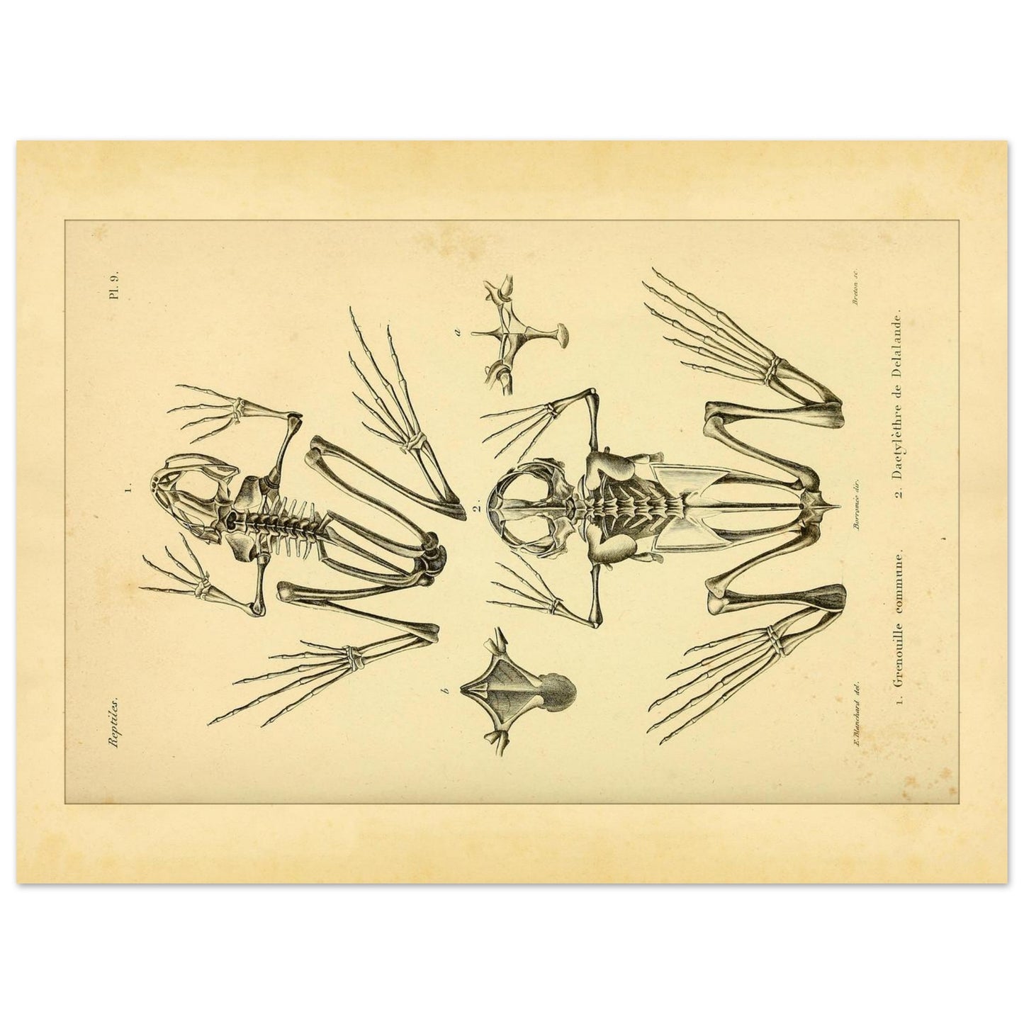 91410827-2a58-43d5-8952-e6019473a861