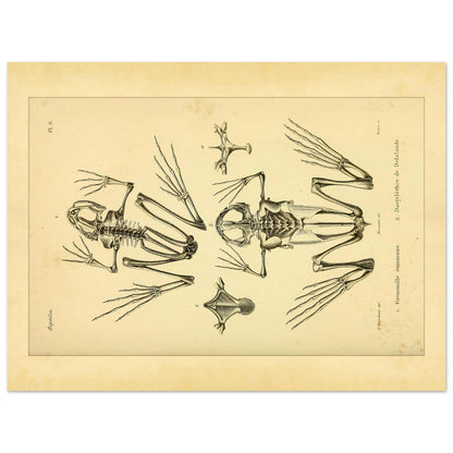 91410827-2a58-43d5-8952-e6019473a861