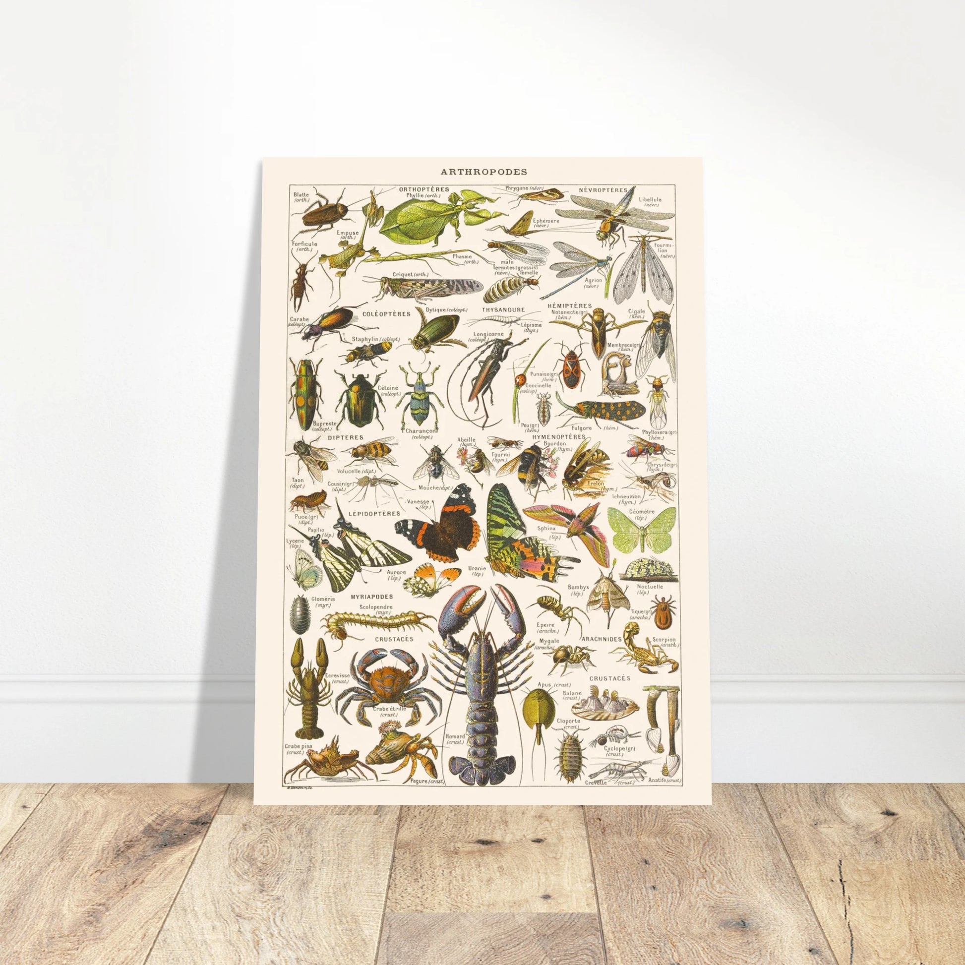 92e30364-85b6-45ad-923b-f9ef107eb93f