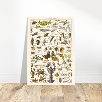 92e30364-85b6-45ad-923b-f9ef107eb93f