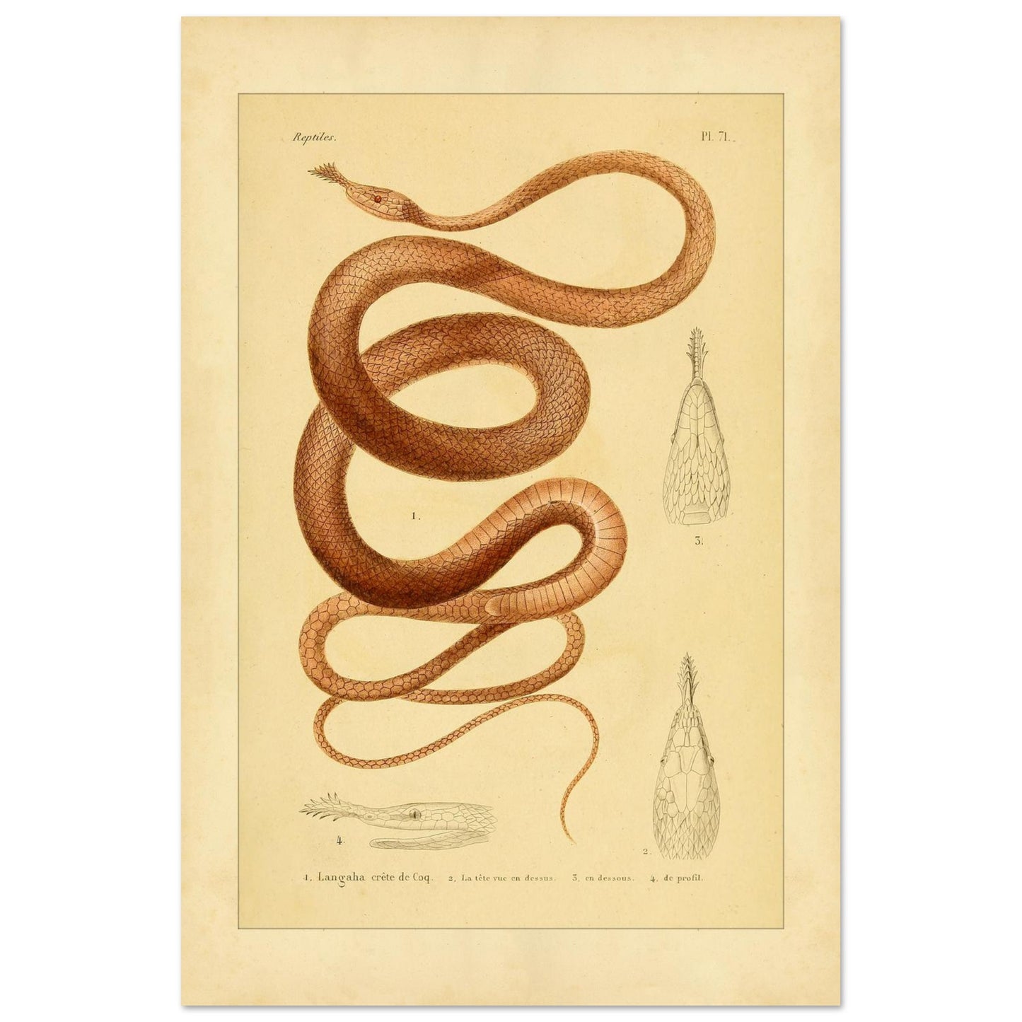 9312f7ad-9601-43dc-8756-80b3a1d7b3ff