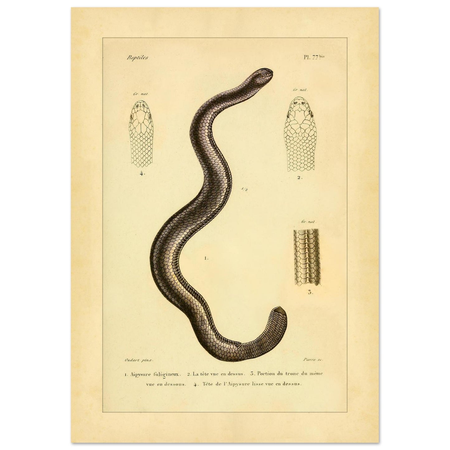 93f32289-5ea1-4fad-a1de-0475cd3b3f24