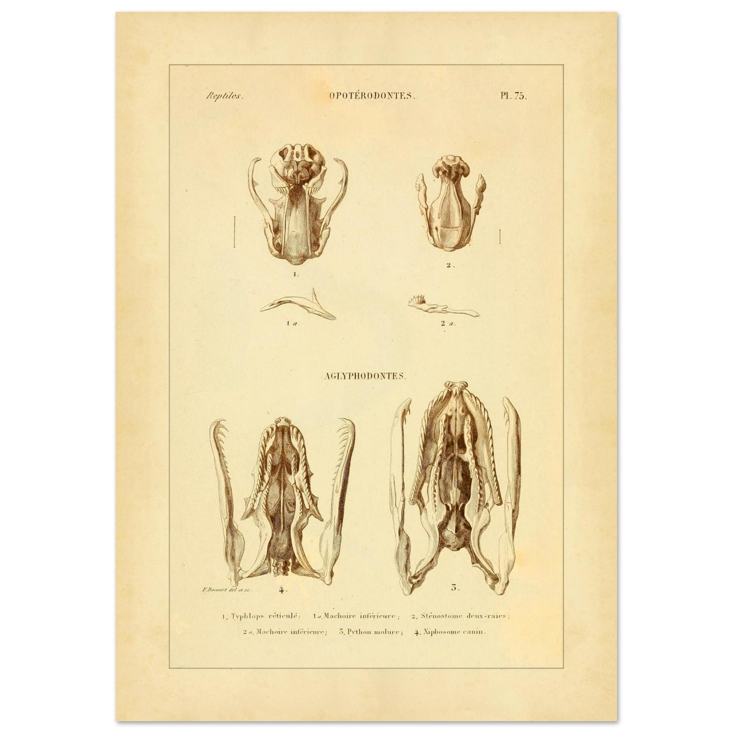 956fdc04-a9aa-468b-a60b-5420f0097338