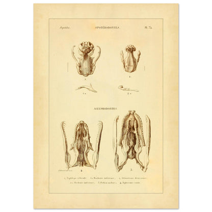 956fdc04-a9aa-468b-a60b-5420f0097338