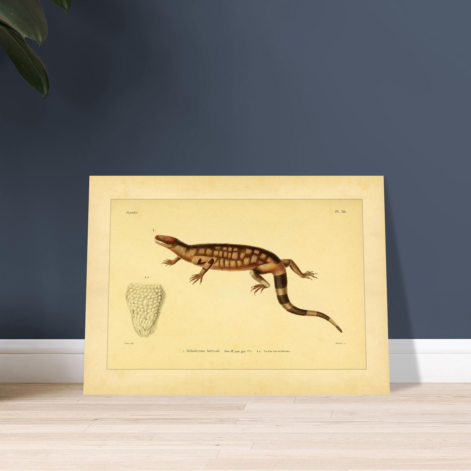 96379b47-dffc-457f-8154-3e85bdaad103