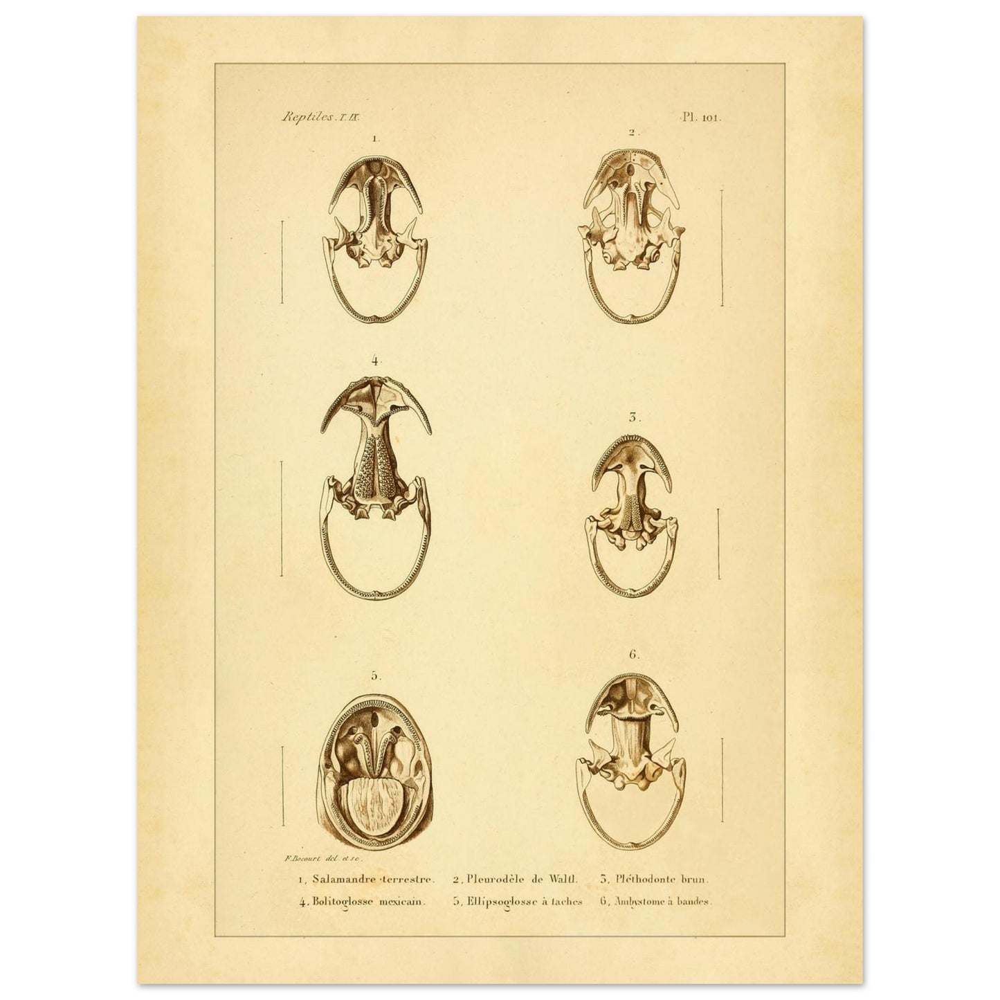 9650cd9b-62f6-417e-812e-3831d0ba23b0