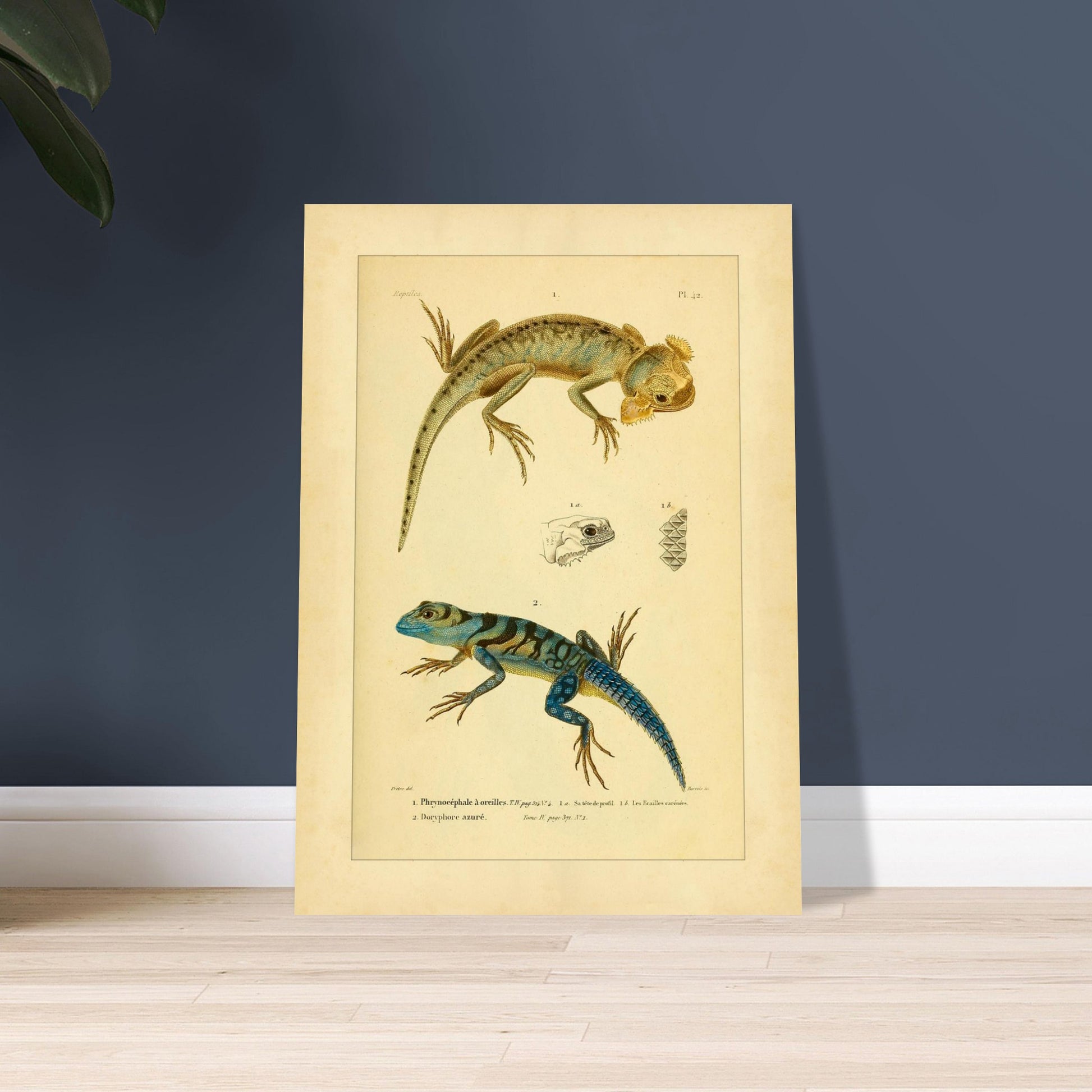 9681d481-598f-4428-91b0-91d99f1462da