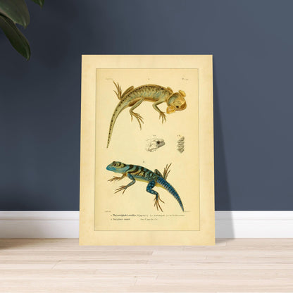 9681d481-598f-4428-91b0-91d99f1462da