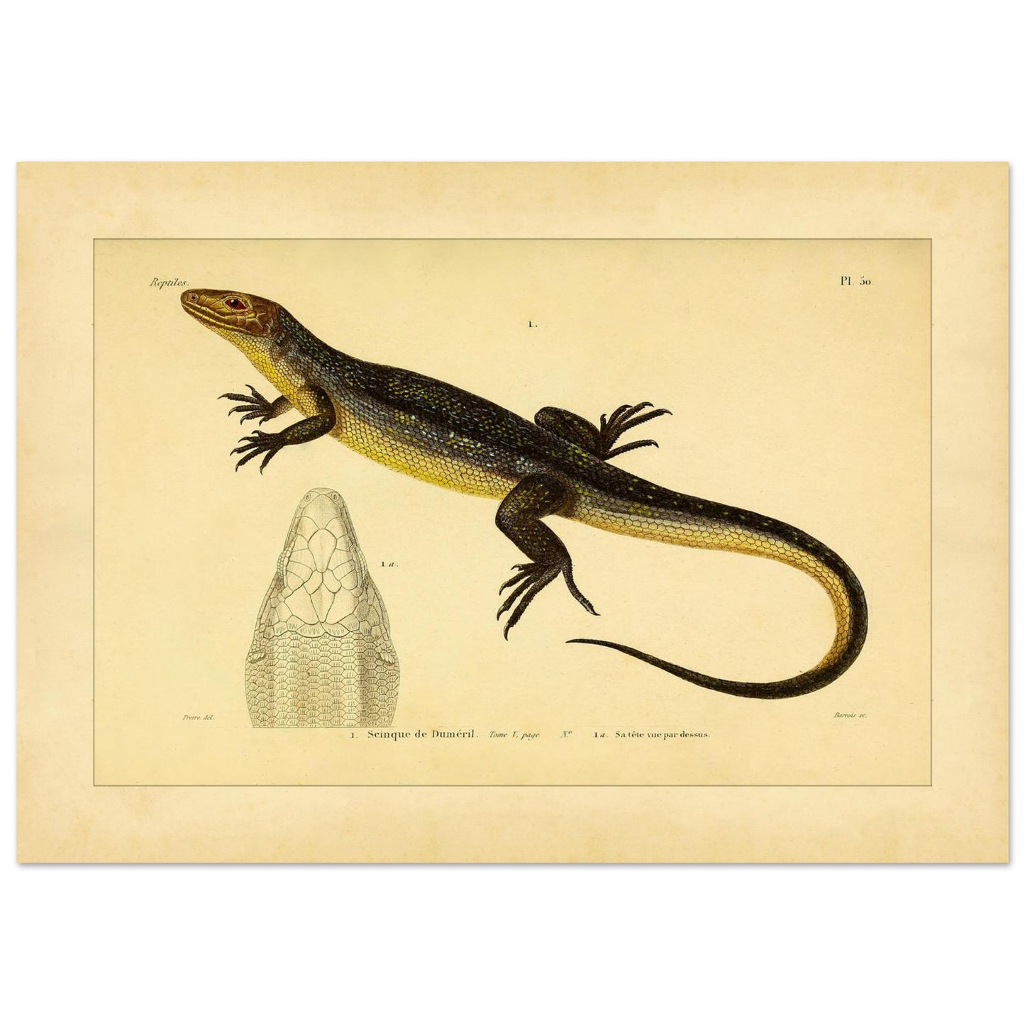 96a03a5d-78f9-4200-9176-a253bd4f5136