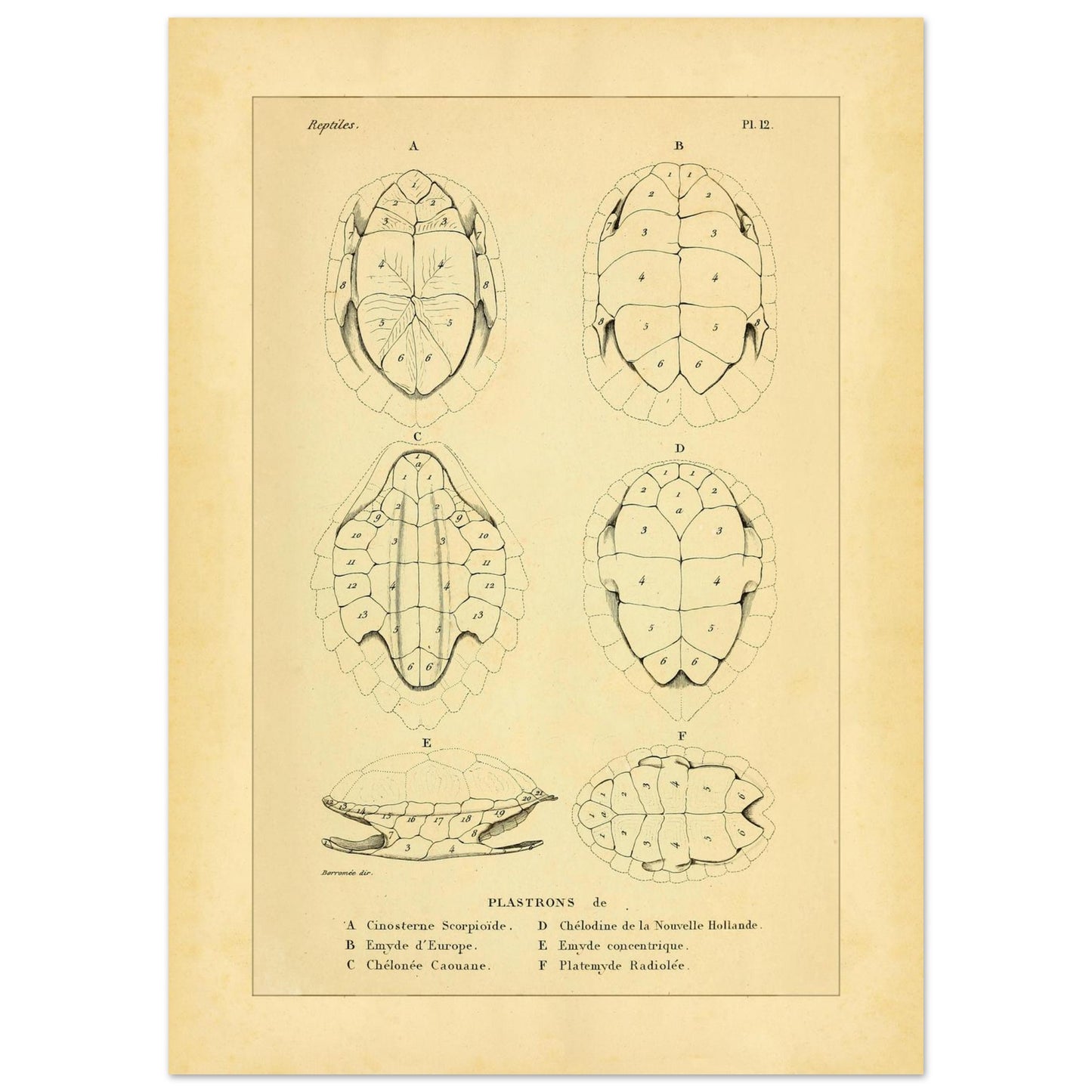 96dc6737-73fb-4f99-84cf-20229280fe2f