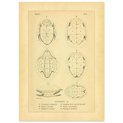 96dc6737-73fb-4f99-84cf-20229280fe2f