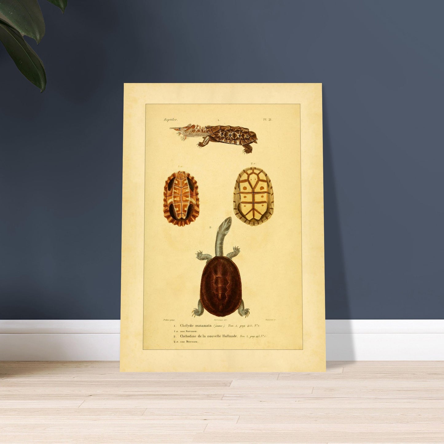 98f699b2-49b1-498f-97d1-4155186cd766