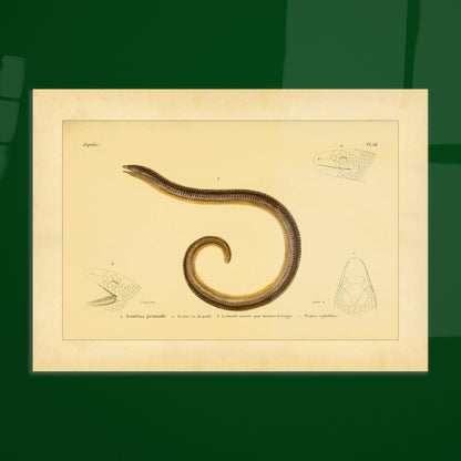 98ff87fb-4087-41c2-83b7-22cd04d1d298