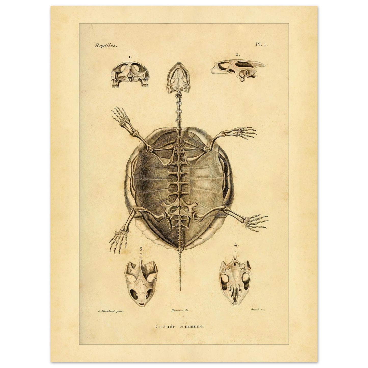 9be3c5ad-b7d2-4c46-a2aa-3c550fb1985b