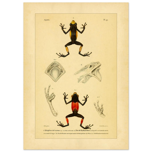 9cc19b70-eb2d-43a6-974e-616789d872dd