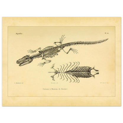 9ccdf89b-4ff4-4e69-8943-43d56dd5dfe4