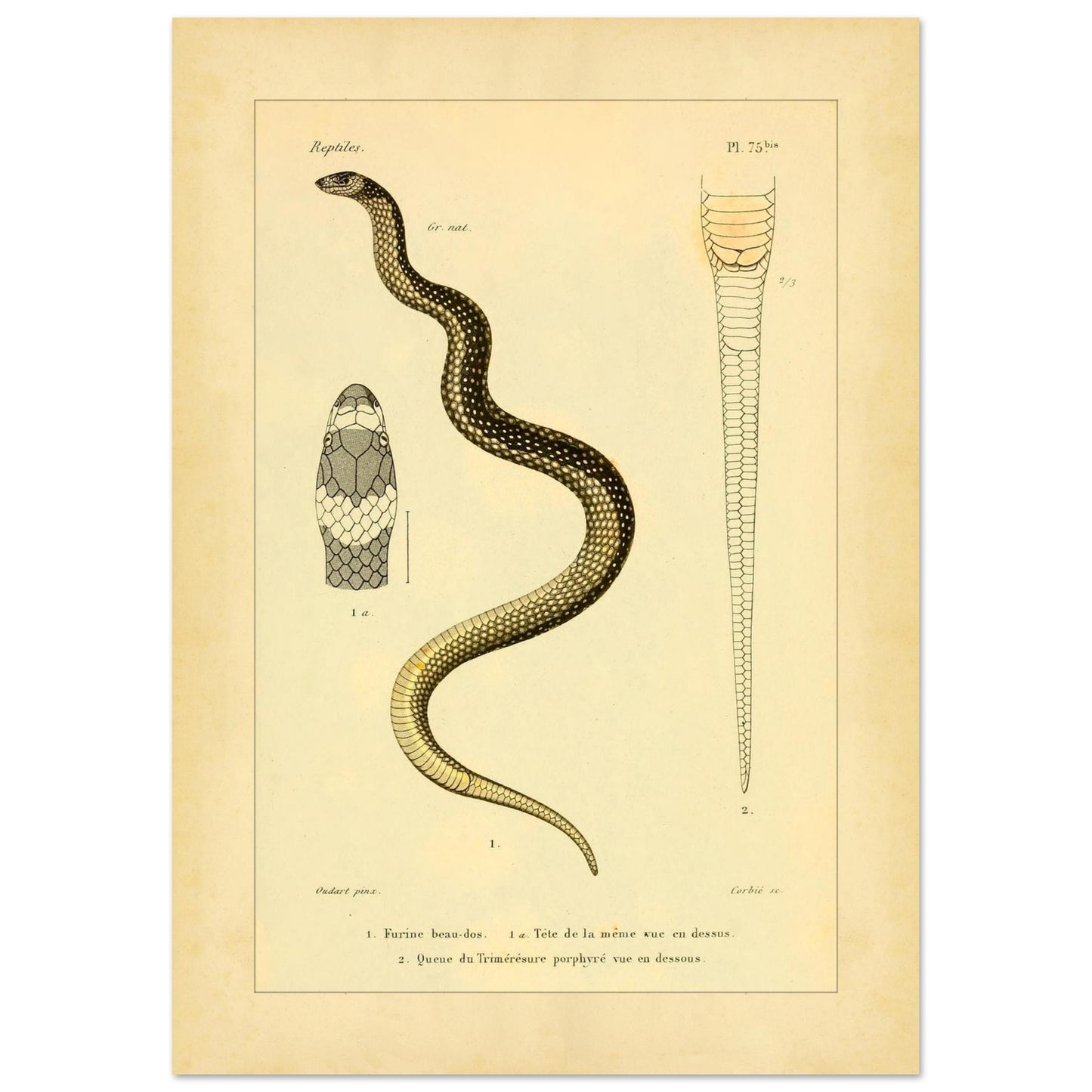 9d7a8dca-8652-4414-b61f-4465ab8d7822