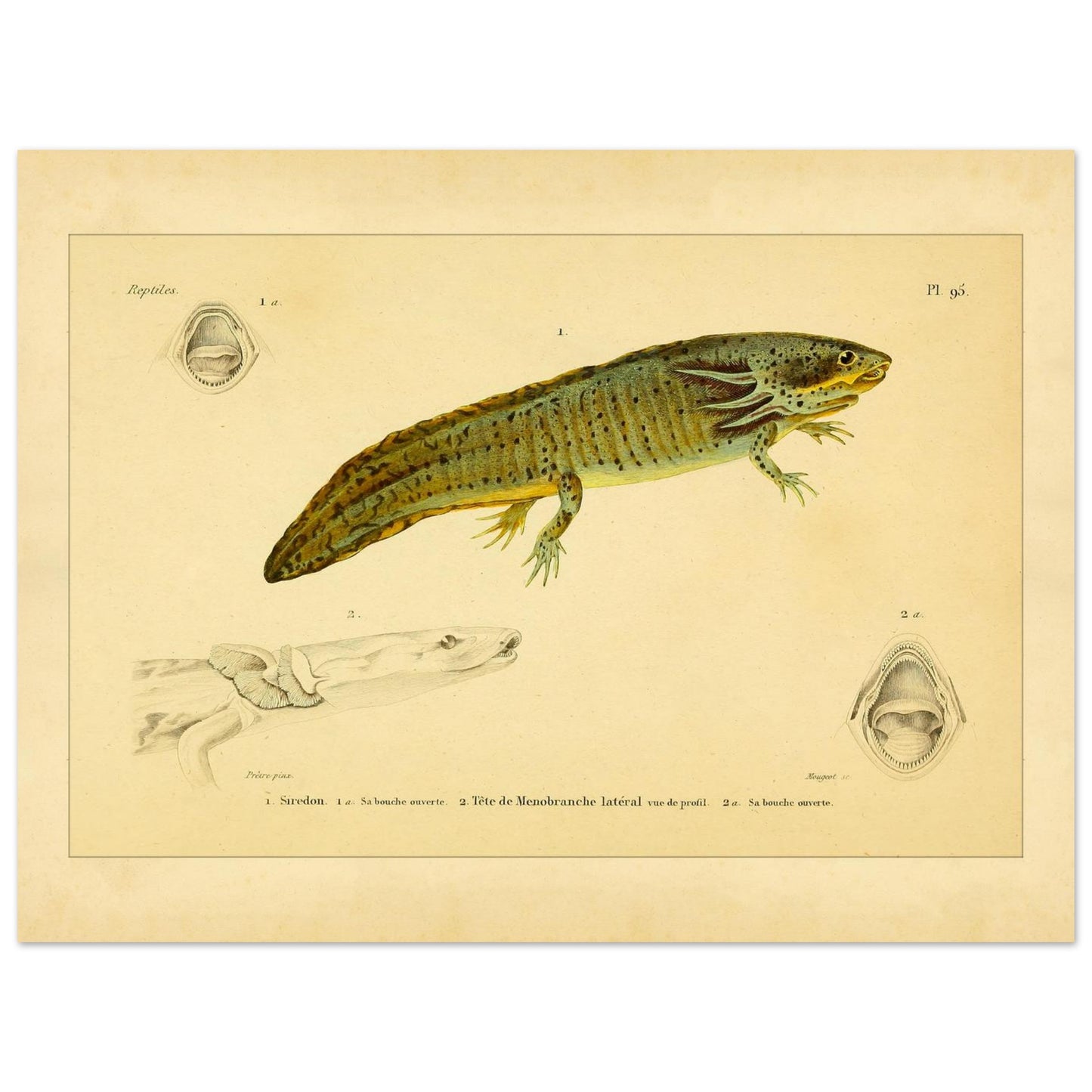 9f23481f-1523-413b-b89f-089230924caa