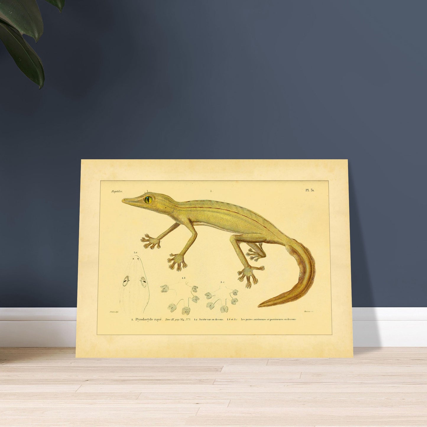 9f24cfec-9ce8-4596-adaf-e033fdc780de