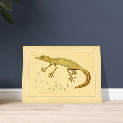 9f24cfec-9ce8-4596-adaf-e033fdc780de