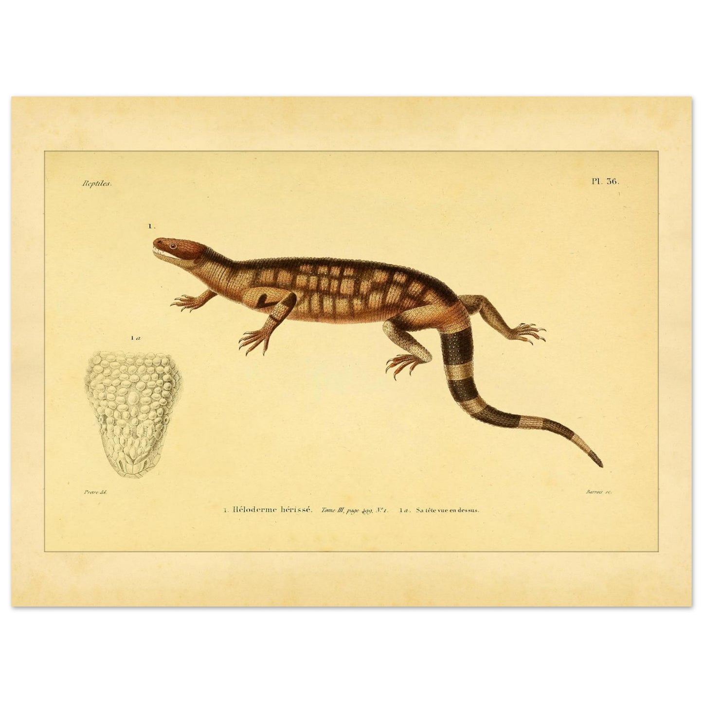 a10de7b1-649d-467b-b6f7-d2c98bcdd201