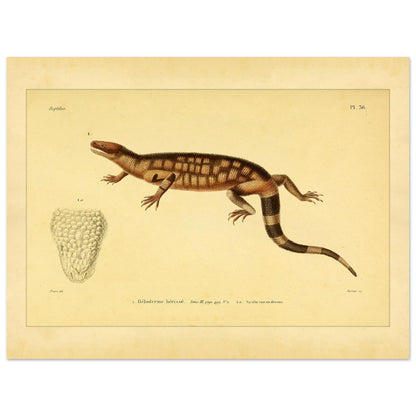 a10de7b1-649d-467b-b6f7-d2c98bcdd201