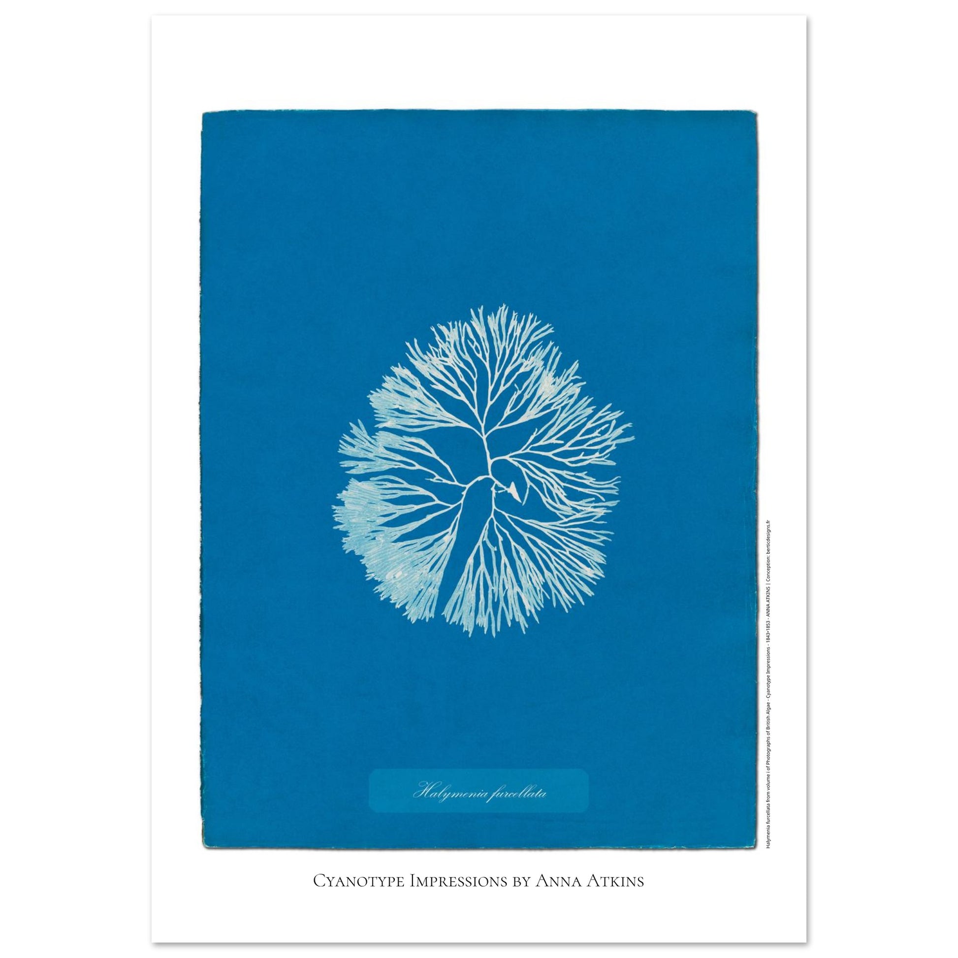 a2c505b5-9ac7-41ec-b6e2-bd160d475b2e