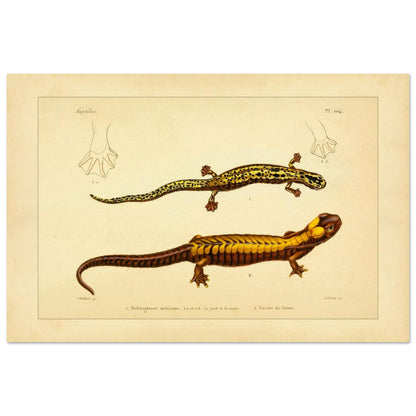 a2c671b7-ae10-4a69-a6ab-eb659d7a516f