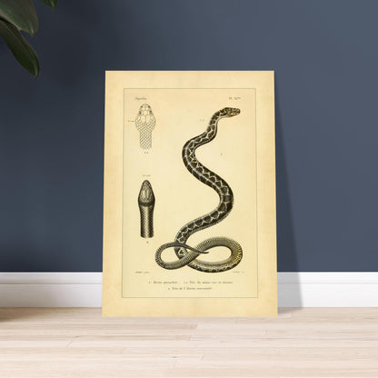 a63b3ccc-e7c4-4174-882a-ff74bbdab7d3