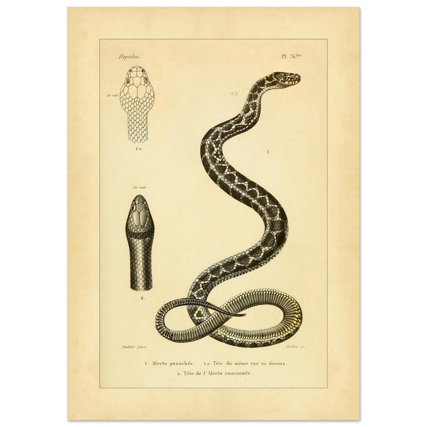 a68889a2-6222-45eb-9c9a-723967f43d03