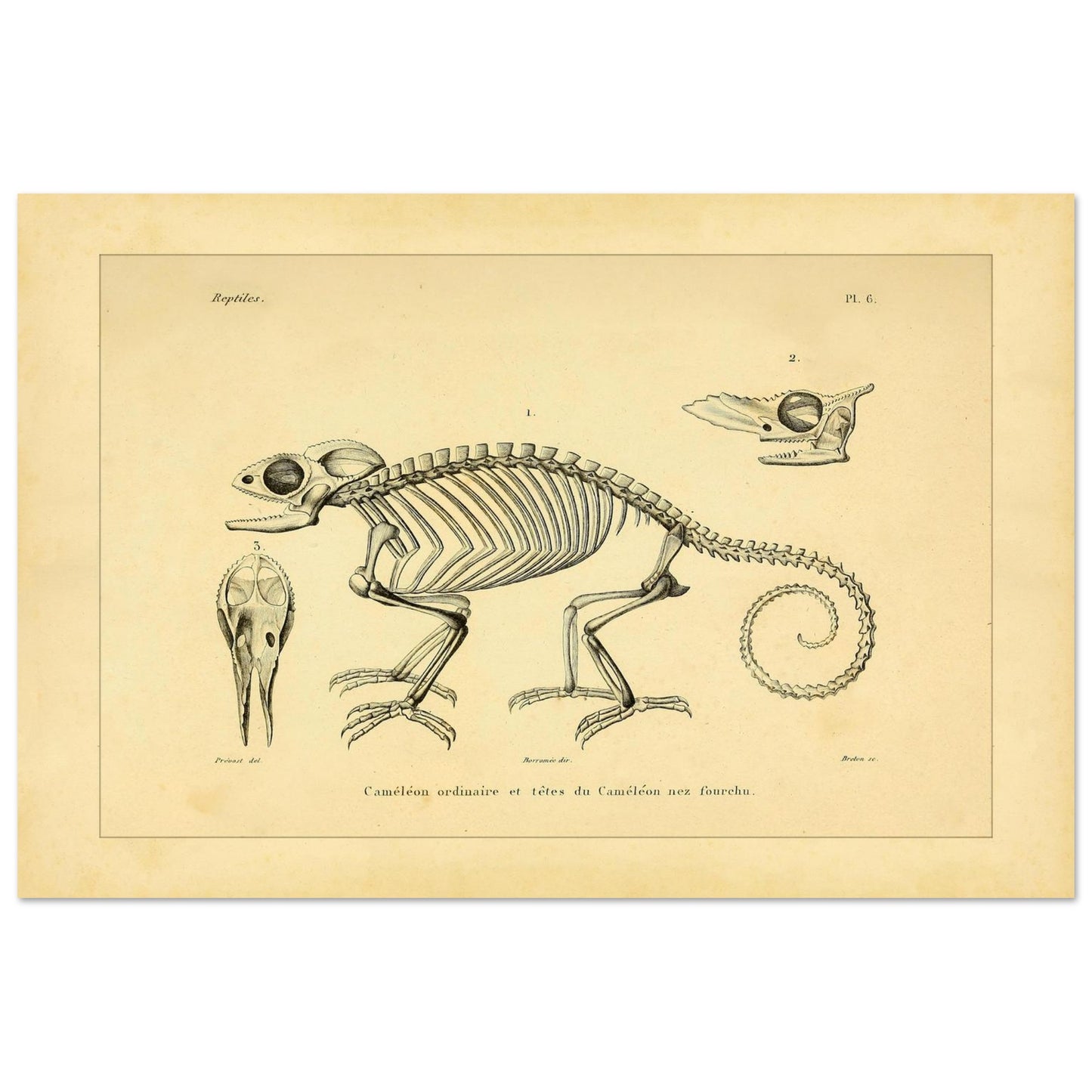 a74d8e3f-14b8-41e7-8f1f-598252e94d87