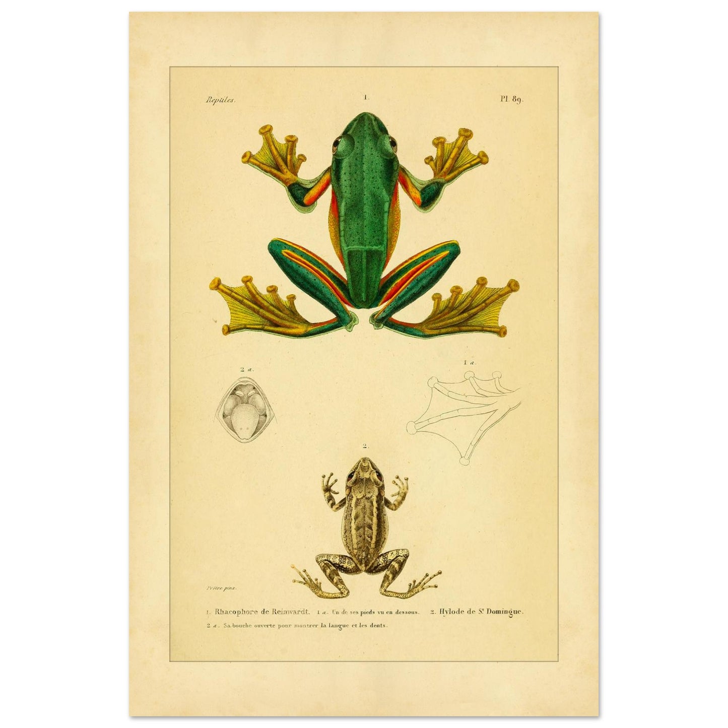 a76fb884-52d0-4ea2-85aa-10d1a72290c6