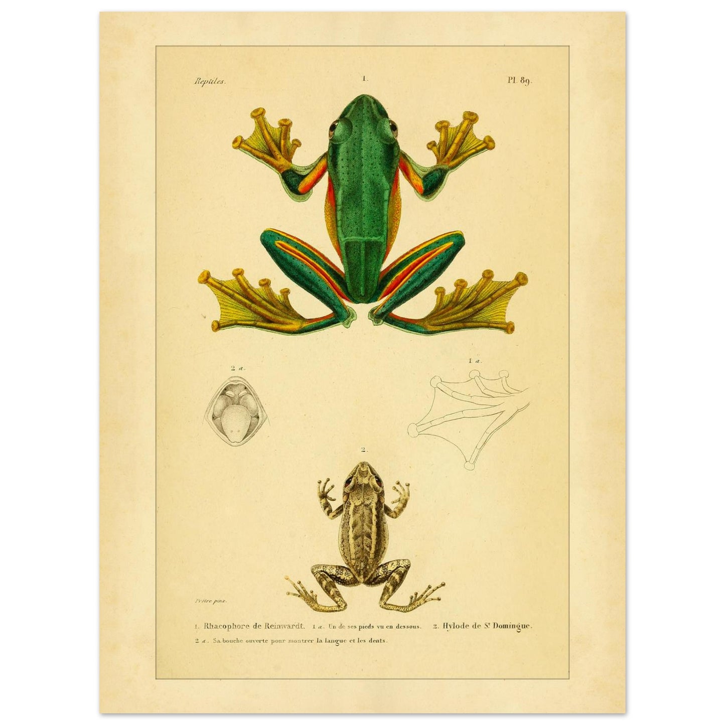 a7d5ea46-60c6-4aba-80a1-76b640713285