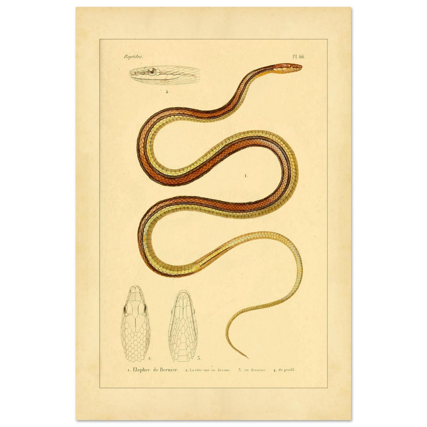 a89f3977-0917-4d2b-ae24-173e2132b3c7