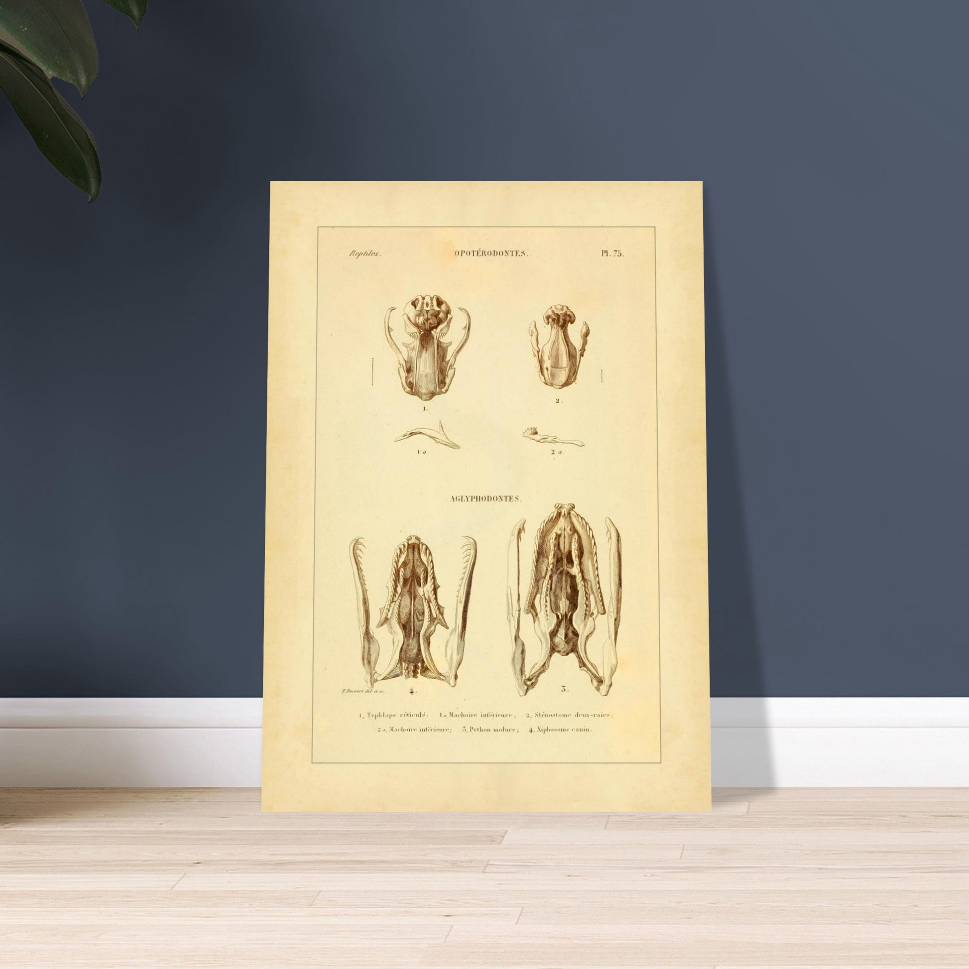 a8ac9de2-1ba6-49af-93e9-32f8c91fd4f0