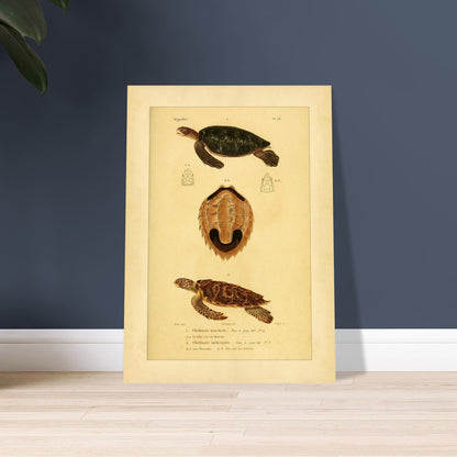 a8d2a838-4309-4f55-9dde-2a7d6a8ea2ff