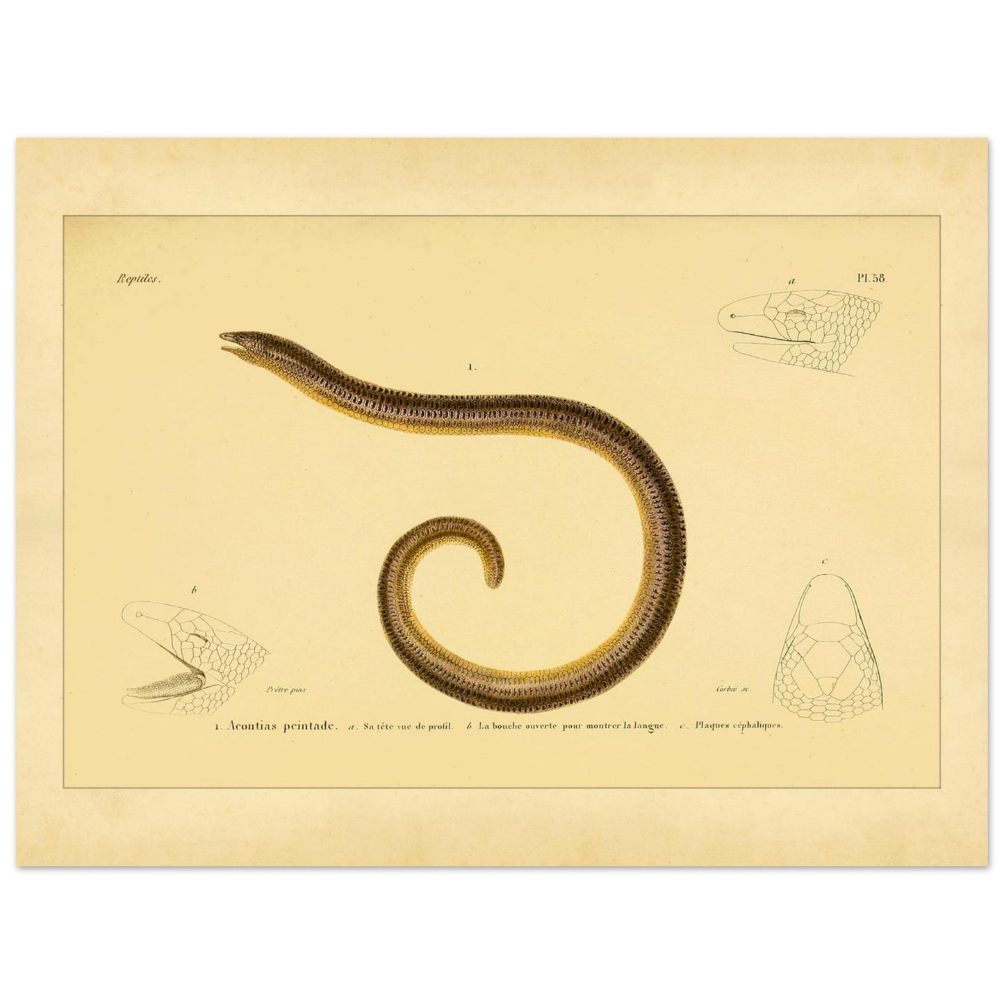 aa191da7-3595-4a41-aeda-e00273f18421