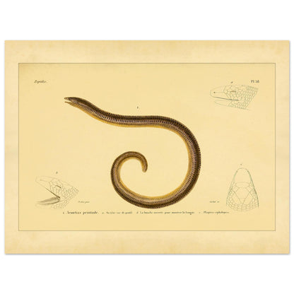 aa191da7-3595-4a41-aeda-e00273f18421