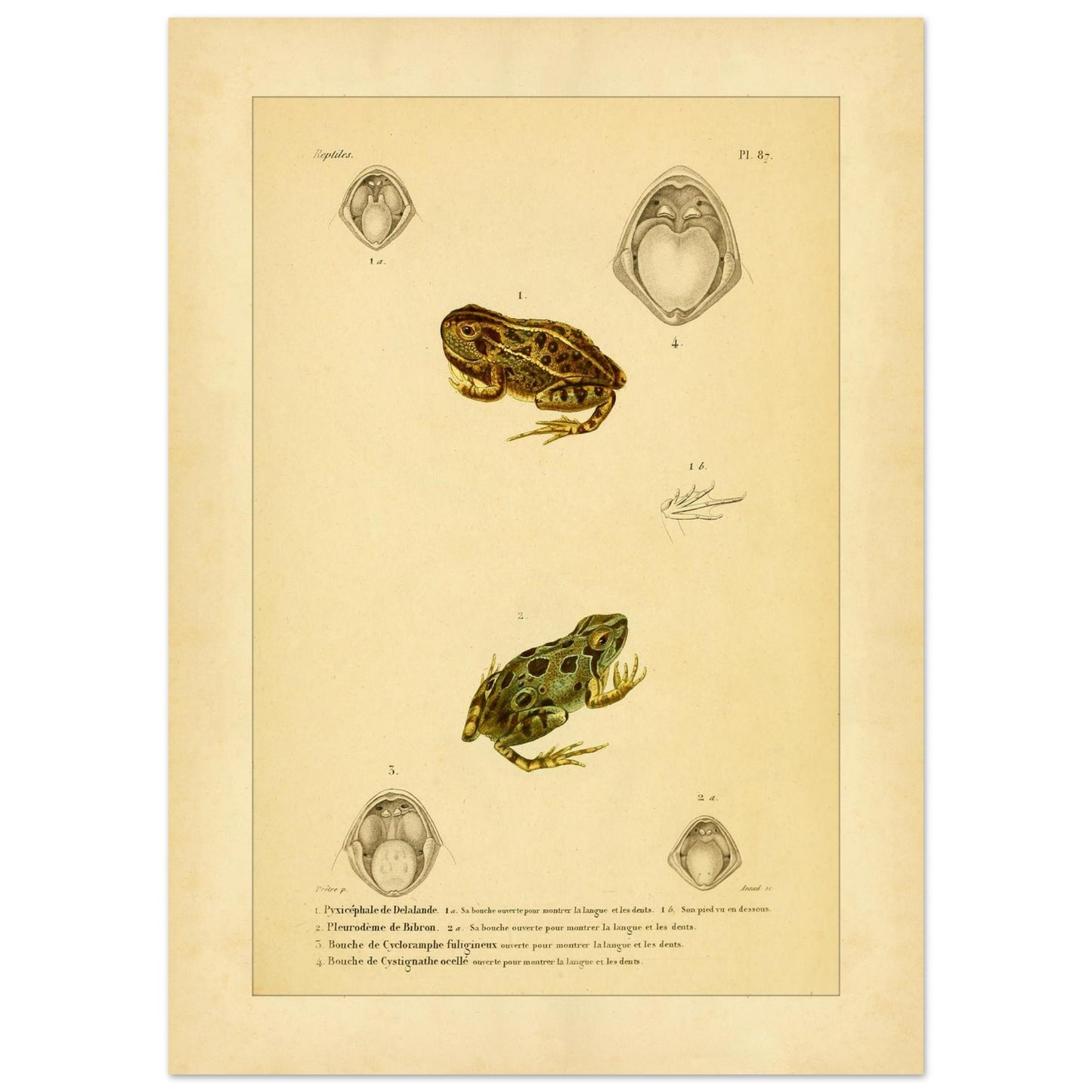 abd85c80-0bb4-430b-b2d4-c622dabf85de