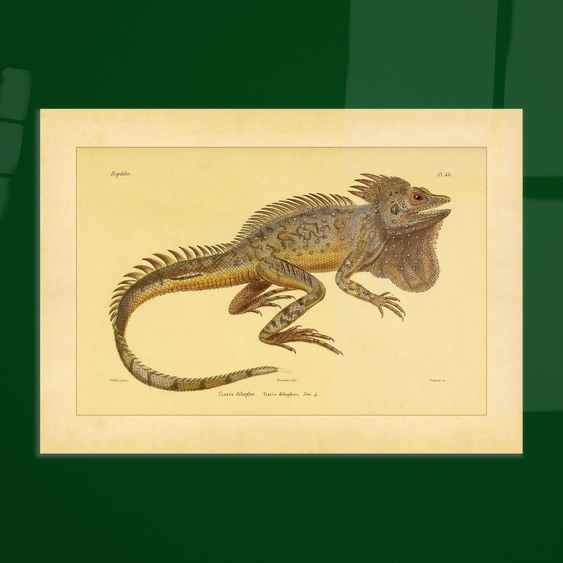 ac22cc18-ae64-4189-abaf-94d1da10e2a0