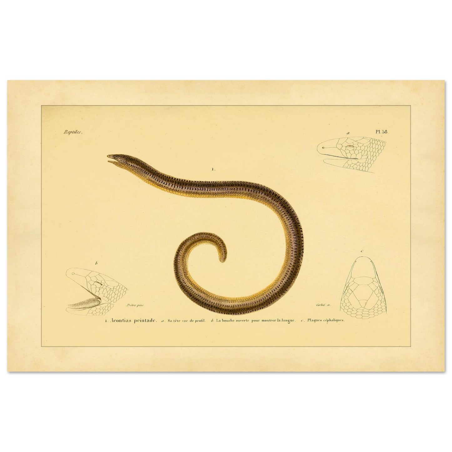 ac3cded5-d13d-4a1d-a672-964c91145425