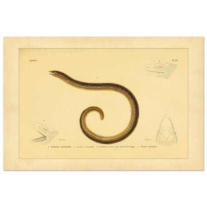 ac3cded5-d13d-4a1d-a672-964c91145425