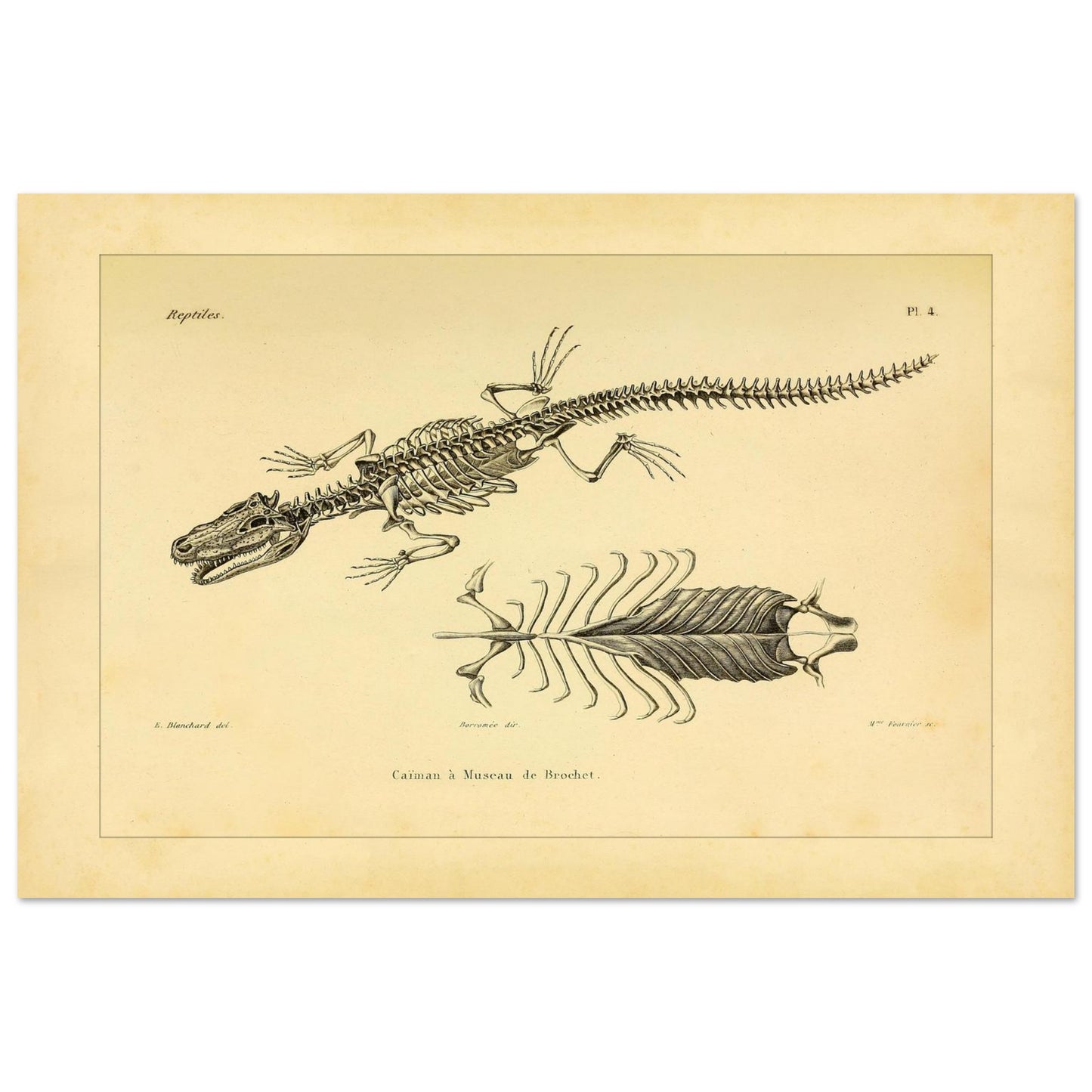 ac62096b-a84d-4a1b-bdc8-c94023556f64