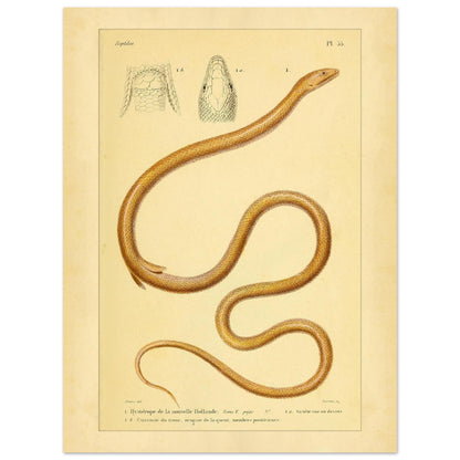 acb5eb26-2e5b-451a-aee7-972cf451052c