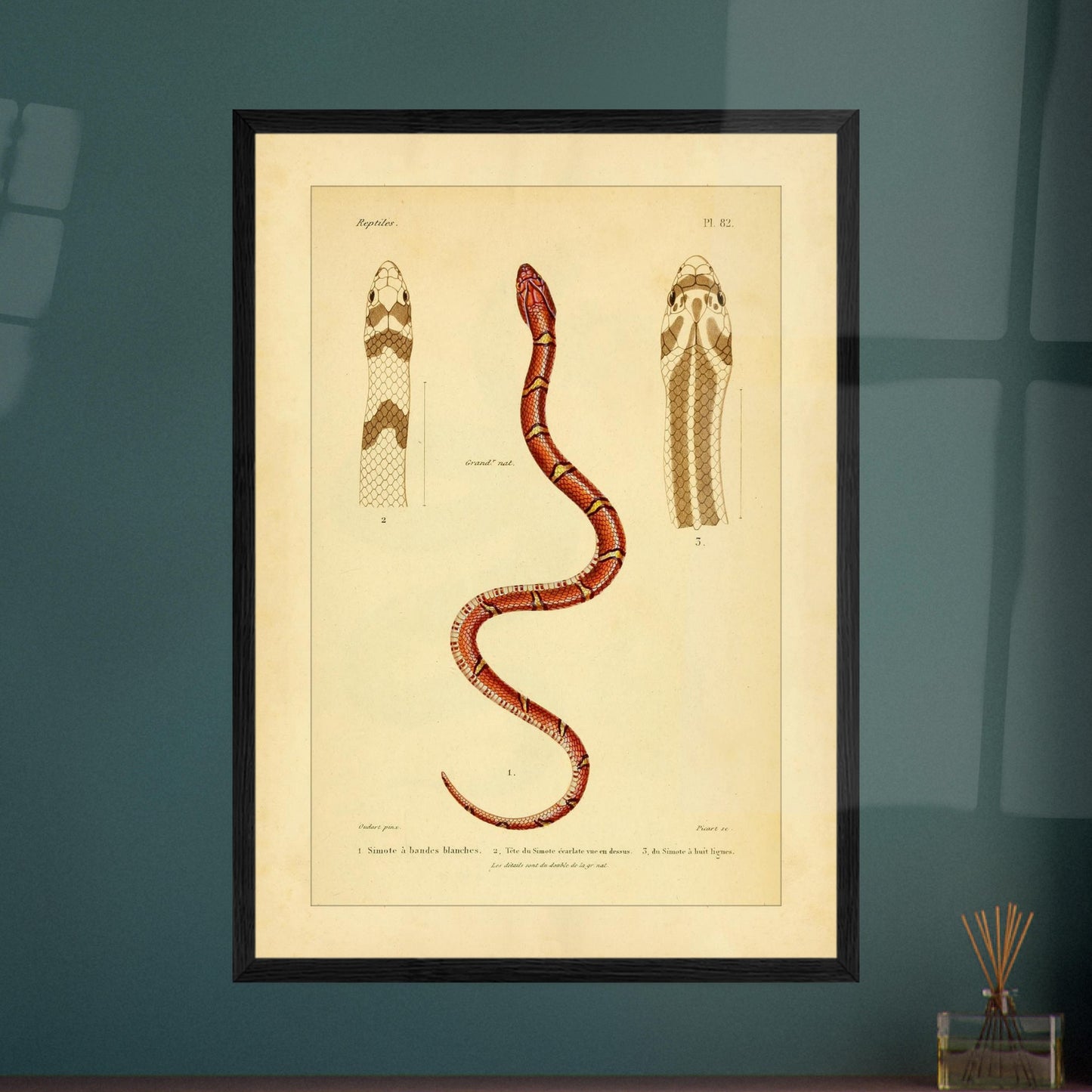 ad0410c3-13da-4eca-a853-f92c1b998a02