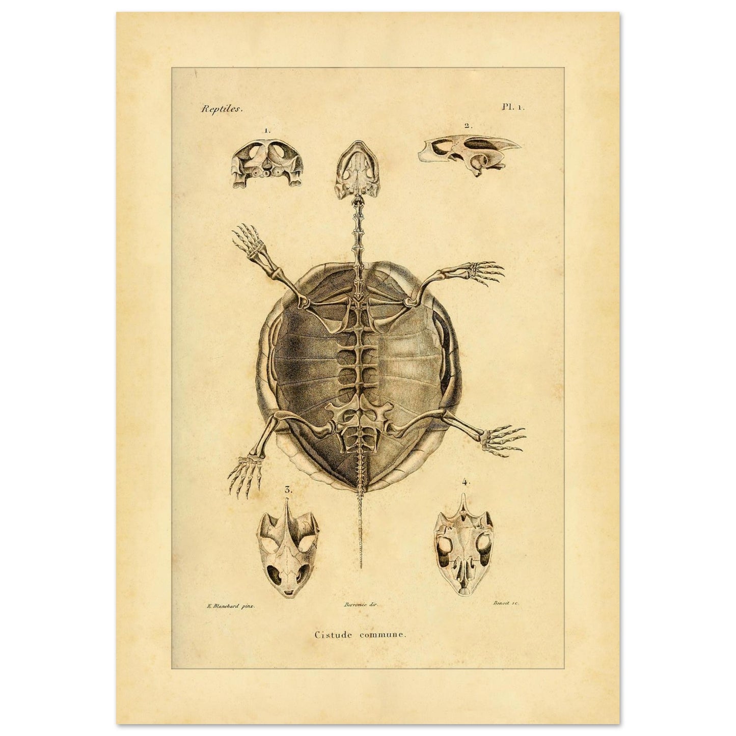 ad13e44d-a714-45cd-8ca9-7c772d7fcaa9